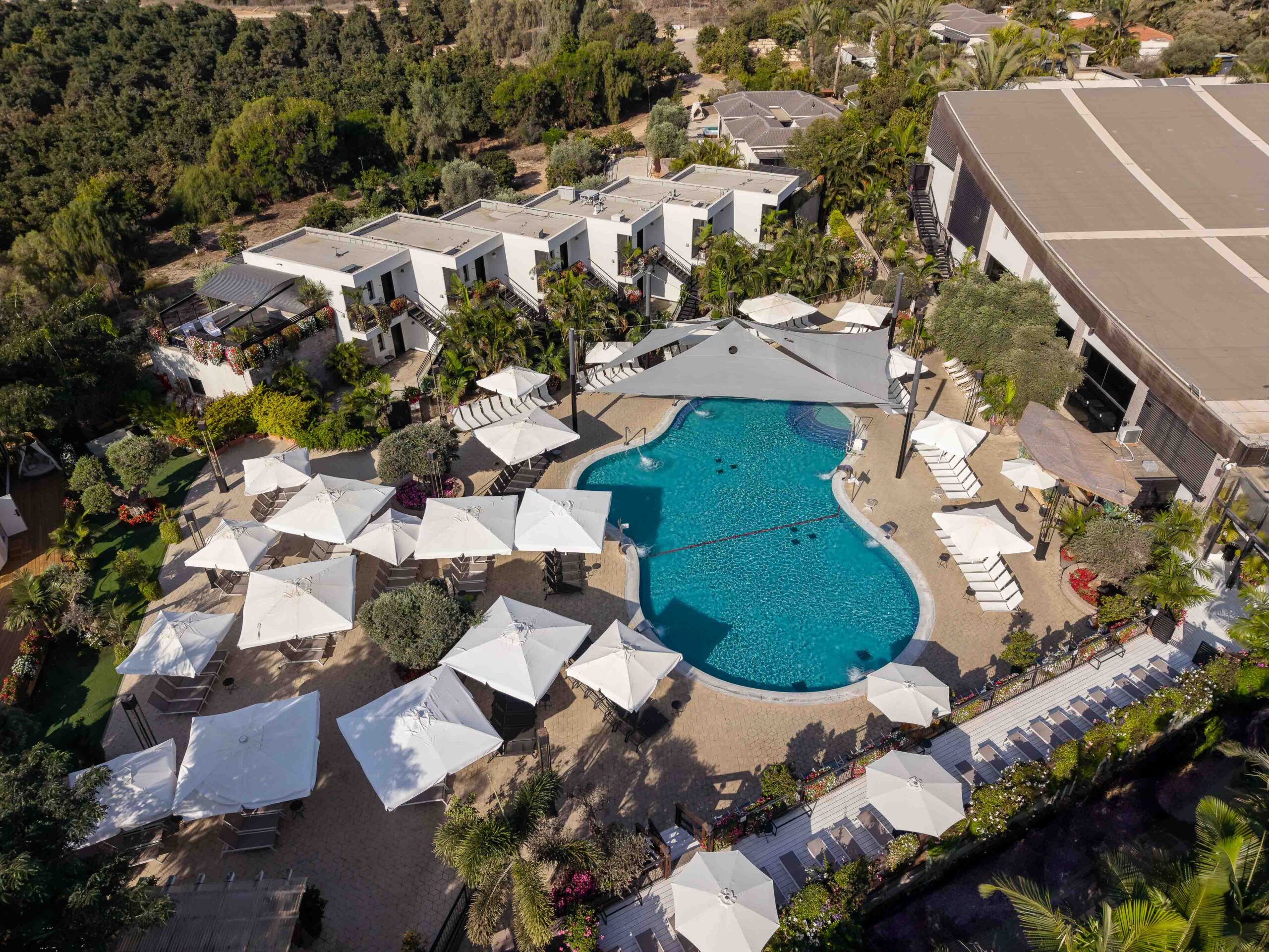 דרים איילנד רחפן (78)